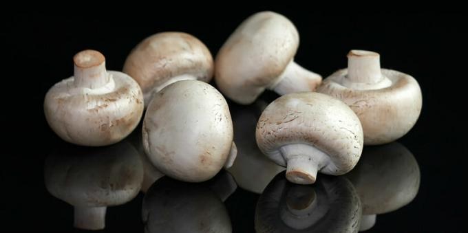 Gobe ​​- champignon mushroomy