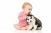 Pes in dojenček: pravila medsebojnega prilagajanja