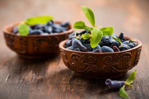Berry kovačnika: koristne lastnosti in recept