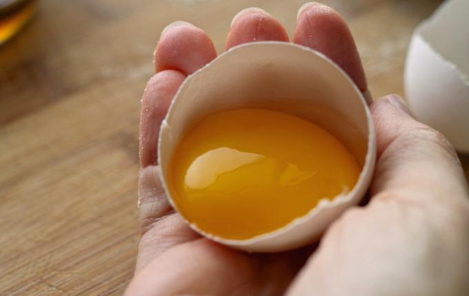 Jajčni rumenjak - jajčni rumenjak