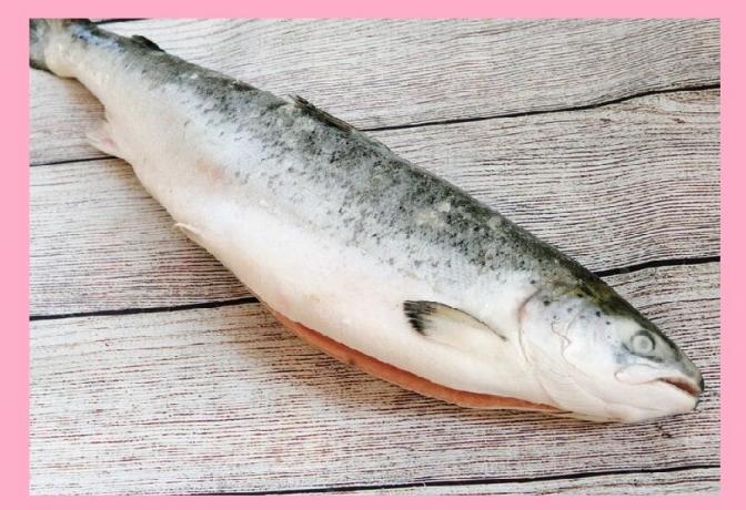 Omega - 3 v ribah (losos)