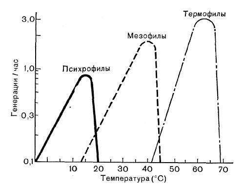 Tabela preživetje mikroorganizmov: celo thermophiles (tiste, ki so, kot je vroče) preneha razmnoževati in umreti na 60 stopinj.