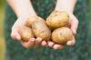 Škrobna dieta: kako pravilno in hitro shujšati na krompirju