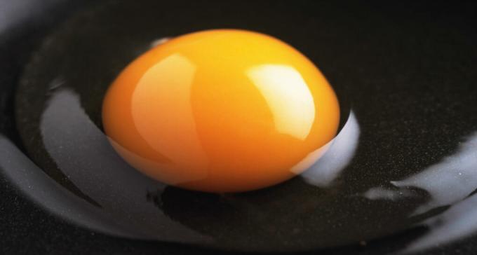 Jajčni beljak - bela jajčeca
