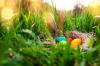 Kako otroku razložiti pomen velikonočnega zajčka in barvnih jajc