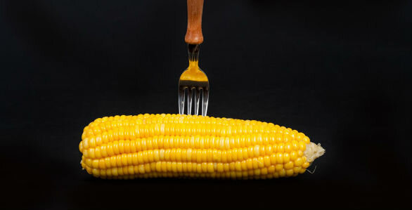 Corn - koruza