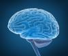 Prvi simptomi možganskega tumorja