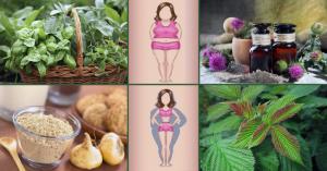 5 močni zelišča za ravnovesje hormonov v ženskem telesu