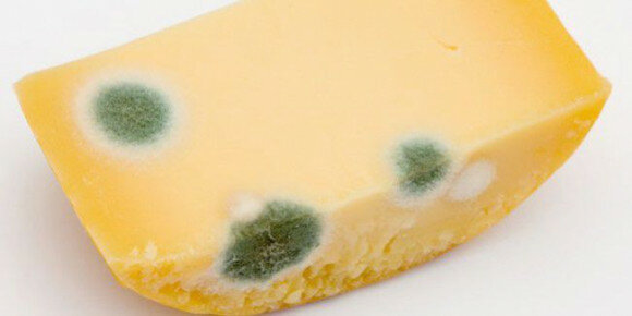 razvajen sir