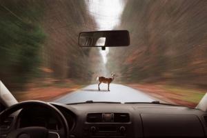 Vozniki pazi na cesti: 3 glavne dejavnike tveganja