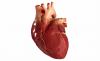 3 glavni dejavniki, ki povzročajo bolezni srca