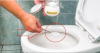 Kako očistiti WC in WC napolnjena s svežino in prijeten vonj