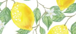 Lemon - še kisle ali alkalne hrane?