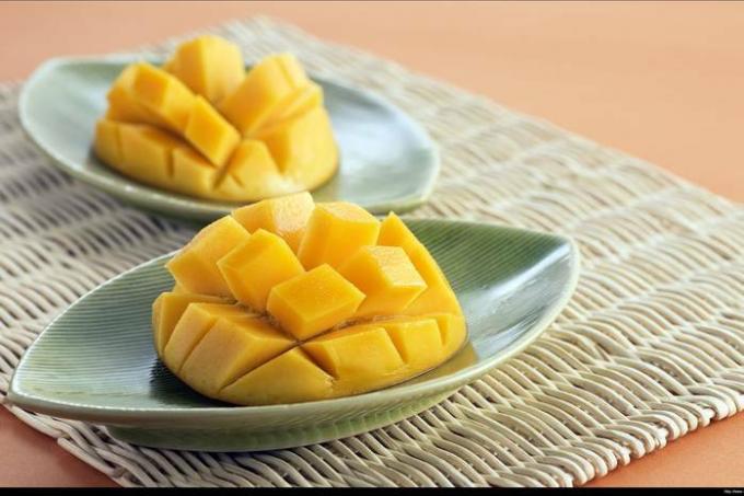 Kako gojiti mango doma: navodila po korakih