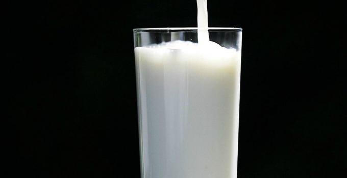 Milk - mleko