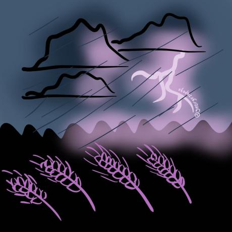 Nevihta in žita