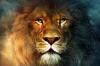 12 značilnosti Lions, za katere jih bodo radi
