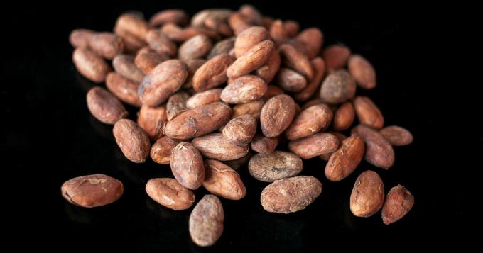 Cacao - kakav