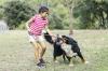 Kaj storiti, če psa ugrizne otrok: odgovor specialista za nalezljive bolezni