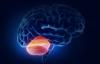 Tumor v malih možganih: patologija simptomi