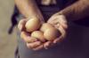 Vse, kar ste želeli vedeti o piščančjih jajcih: 5 bistvenih dejstev